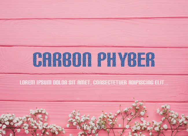 Carbon Phyber example